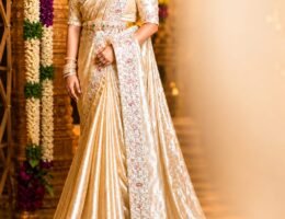 Special wedding pure kanchipattu silver jari  Buy 100% Pure Kanchi Tissue Silk Online