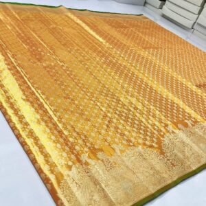 Pure Kanchipuram tissue meenakari