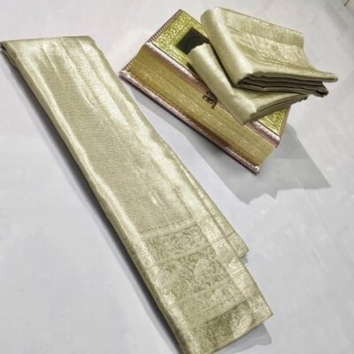 Special Party wear pure kanchipattu tissue