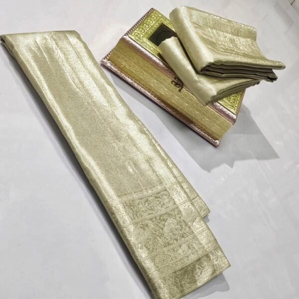 Special Party wear pure kanchipattu tissue