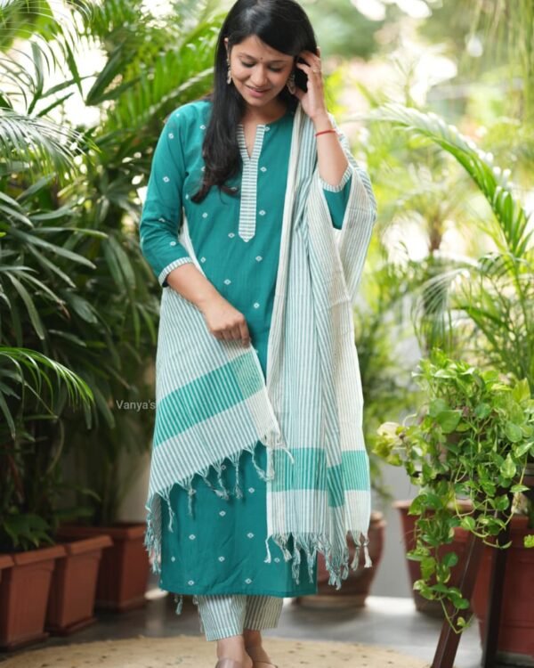 Pure Handloom Pattu Narayani South Weaving Cotton 