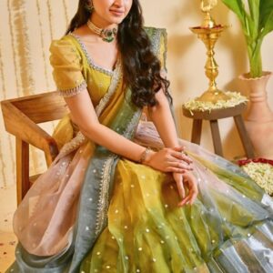 Neeli Peeli Noor Lehenga set