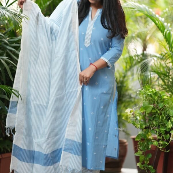 Pure Handloom Pattu Narayani South Weaving Cotton