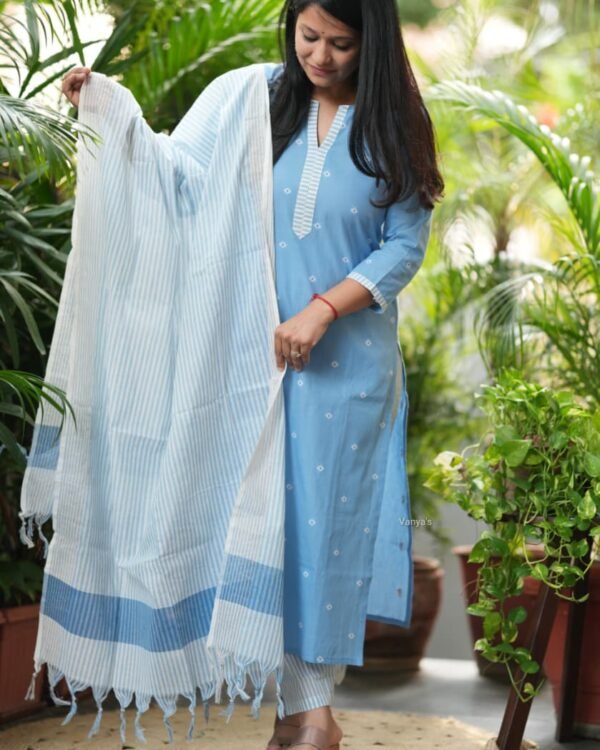 Pure Handloom Pattu Narayani South Weaving Cotton