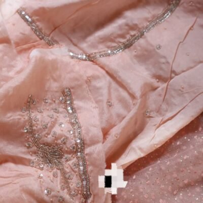 Pure imported organza silk saree