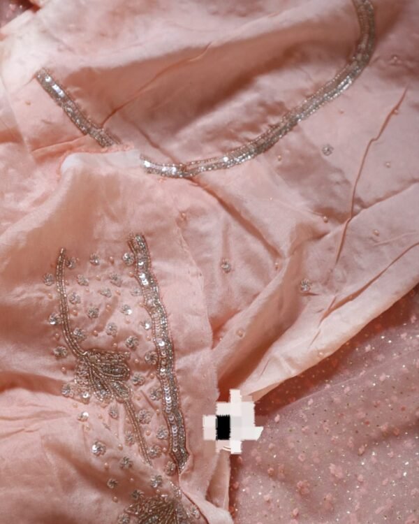 Pure imported organza silk saree