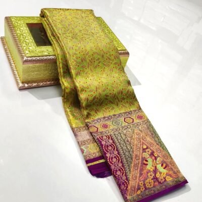 Pure kanchipattu resham pack edge to edge Meenakari pattern designs