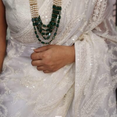 luxurious collection of organza pure silk saree