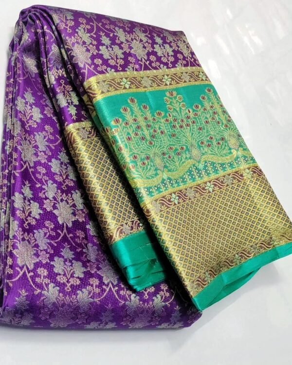 Pure kanchipattu resham warp meenakari brocade designs