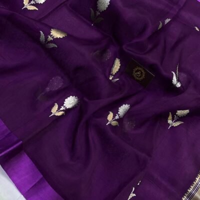 Banarasi semi georgette daybal soft silk saree