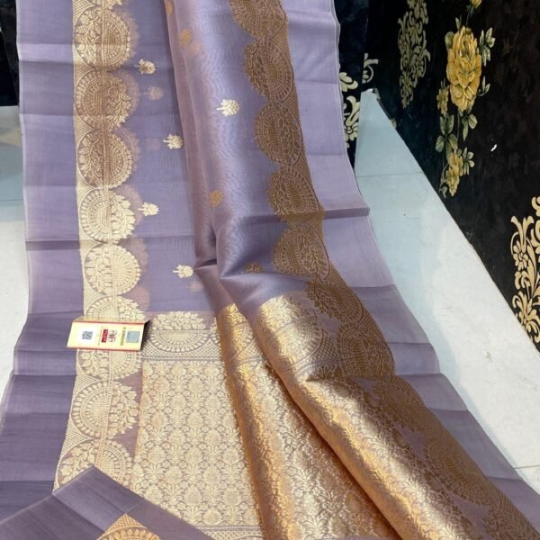 Banarasi cora organza dybl soft silk saree