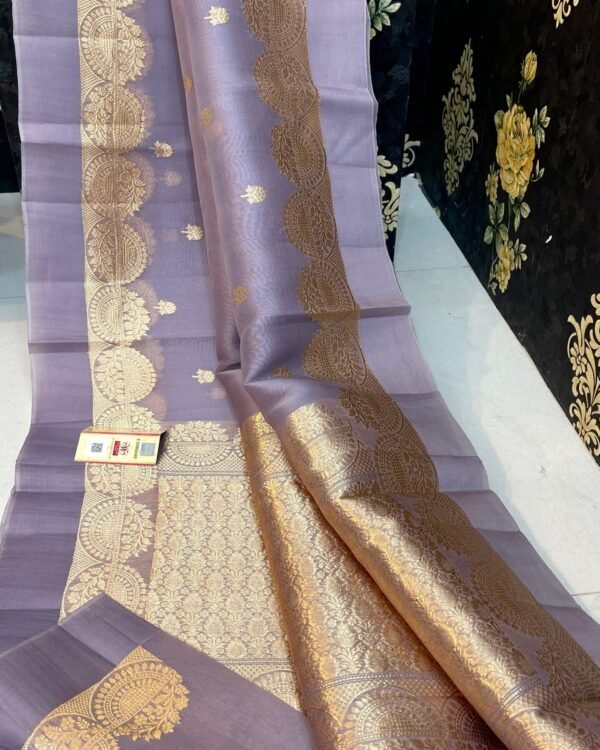 Banarasi cora organza dybl soft silk saree