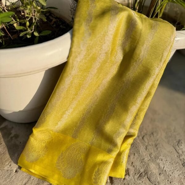 Banarasi tissue kataan soft silk saree