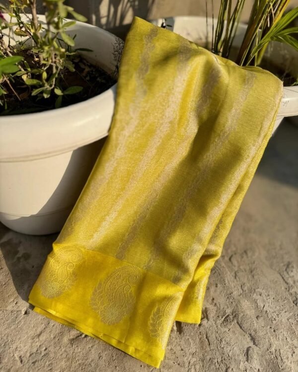 Banarasi tissue kataan soft silk saree