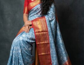 Where To Buy A Pochampalli Pure Silk Saree