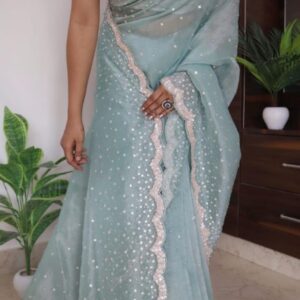 Luxurious pure organza silk sarees