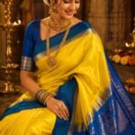 Exclusive Pure silk Handloom