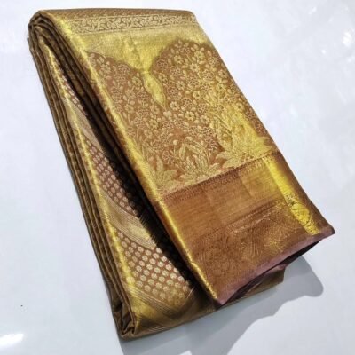 Pure kanchipattu tissue pastel meena brocade