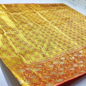 Pure kanchipattu resham handloom Meenakari brocade designs