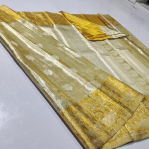 Meenakari border with all over butties designs