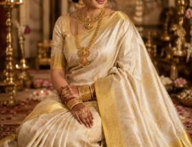 Pure kanchipattu tissue coconut brocade saree Where To Buy A Kanchipuram Pure Tissue Silk Saree