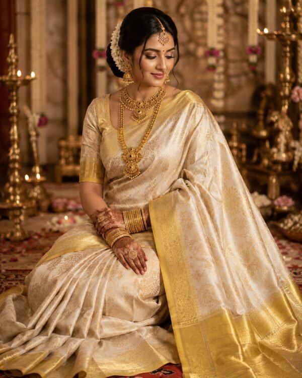 Pure kanchipattu tissue coconut brocade saree Where To Buy A Kanchipuram Pure Tissue Silk Saree