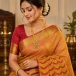 Resham warp meena work designs saree