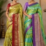 Pure kanchipattu handloom resham checks brocade saree