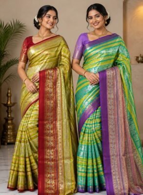 Pure kanchipattu handloom resham checks brocade saree