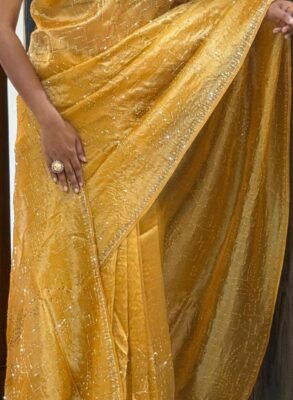 Soft organza tissue saree