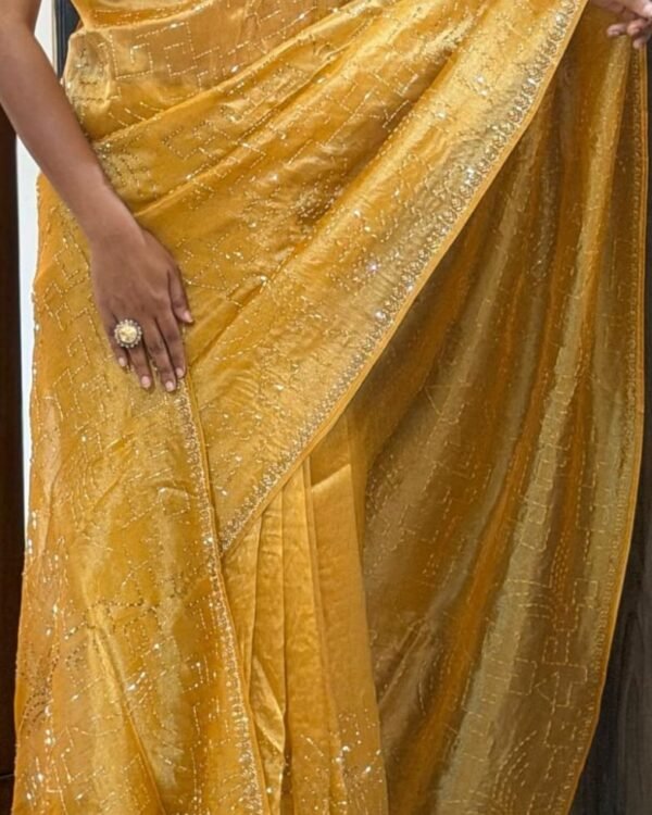 Soft organza tissue saree