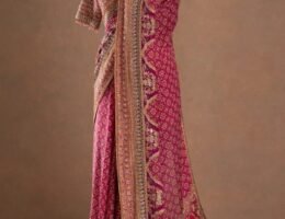 Champagne Beige Designer Party Wear Saree from Eflina new collection