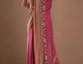 Eflina New Party Wear Saree Collection: Four Statement Styles for Every Celebration 22 Champagne Beige Designer Party Wear Saree from Eflina new collection