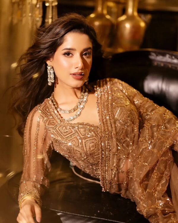 Champagne Gold Sequin & Embroidered Party Wear Saree
