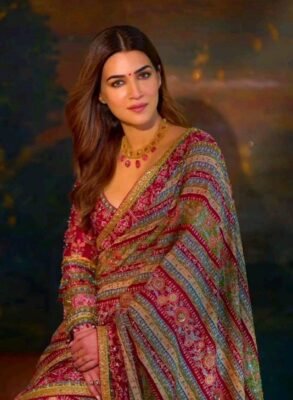 Elegant Partywear Saree