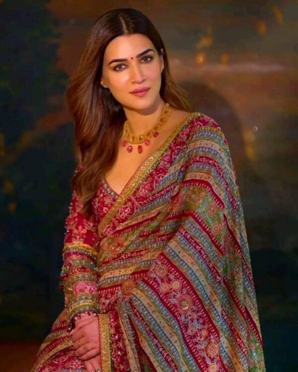 Elegant Partywear Saree