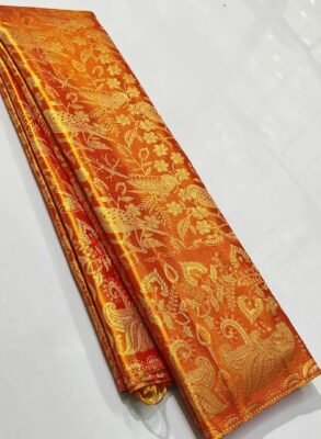 New arrival pure kanchipattu tissue edge to edge 2D meenakari designs