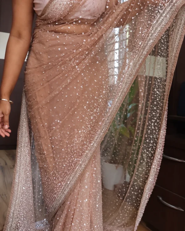 Champagne Beige pure imported net saree with sequins and cutdana hand embroidery – front view